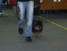 DSCN5062.jpg