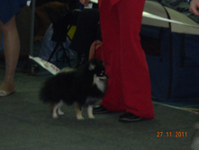 DSCN5063.jpg