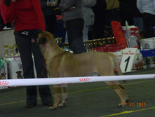 DSCN5064.jpg