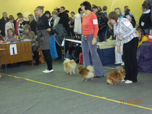 DSCN5070.jpg