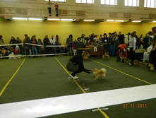 DSCN5071.jpg