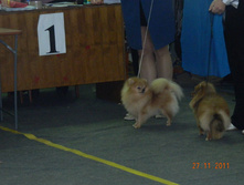 DSCN5072.jpg