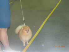 DSCN5073.jpg