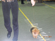 DSCN5074.jpg