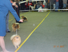 DSCN5075.jpg