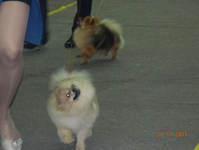DSCN5076.jpg
