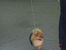 DSCN5078.jpg