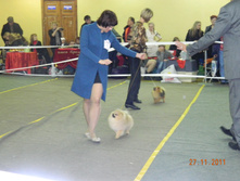 DSCN5079.jpg
