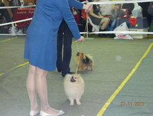 DSCN5081.jpg