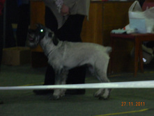 DSCN5083.jpg