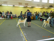 DSCN5086.jpg