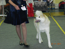 DSCN5087.jpg