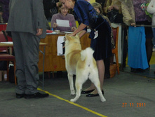 DSCN5088.jpg