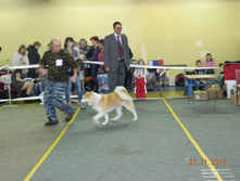 DSCN5091.jpg