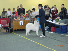 DSCN5105.jpg