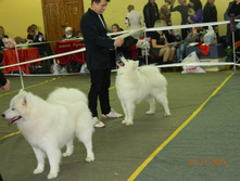 DSCN5108.jpg