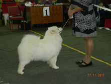 DSCN5114.jpg