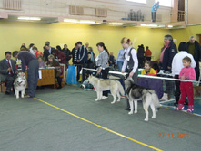 DSCN5116.jpg