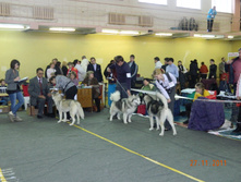 DSCN5117.jpg