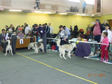 DSCN5118.jpg