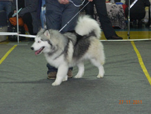 DSCN5120.jpg