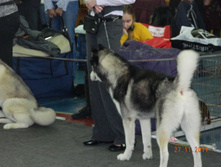 DSCN5122.jpg