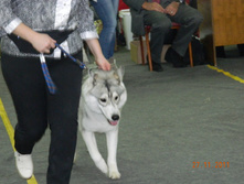 DSCN5125.jpg