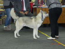 DSCN5127.jpg