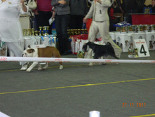 DSCN5128.jpg