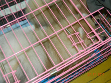 DSCN5129.jpg