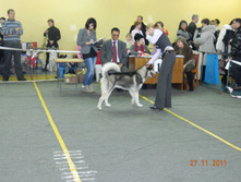 DSCN5133.jpg