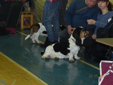DSCN5135.jpg