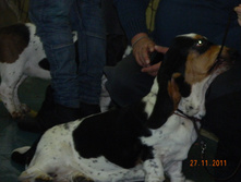 DSCN5136.jpg