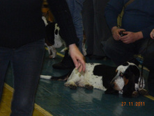 DSCN5137.jpg