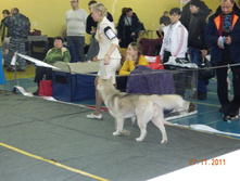 DSCN5138.jpg
