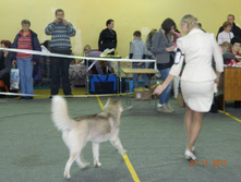 DSCN5140.jpg