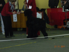 DSCN5142.jpg