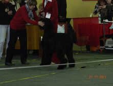 DSCN5143.jpg