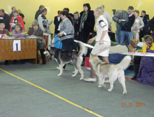 DSCN5144.jpg