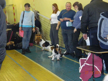 DSCN5145.jpg