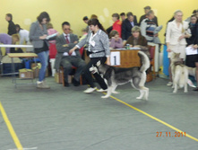 DSCN5147.jpg