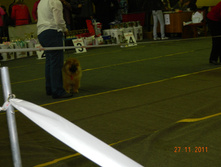 DSCN5148.jpg