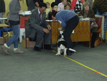 DSCN5156.jpg