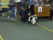 DSCN5157.jpg