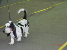DSCN5158.jpg