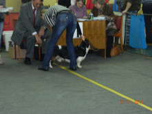 DSCN5163.jpg