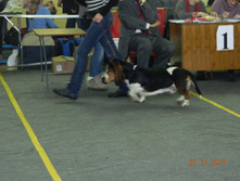 DSCN5164.jpg