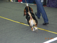 DSCN5165.jpg