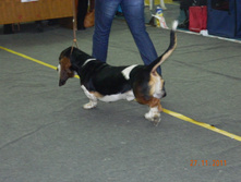 DSCN5166.jpg