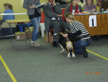 DSCN5167.jpg
